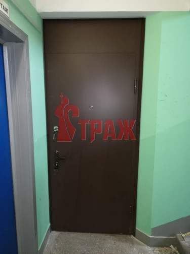металлическая тамбурная дверь вид снаружи
